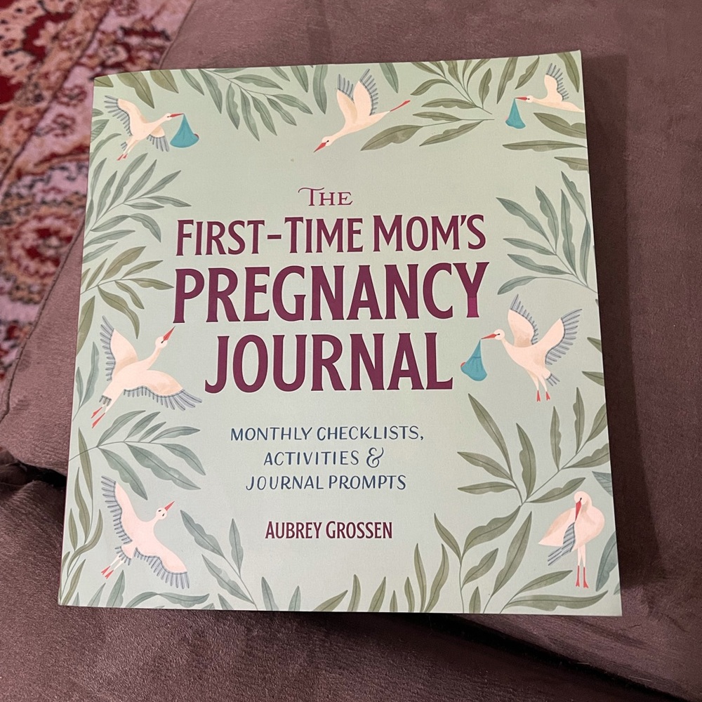 First time moms pregnancy journal